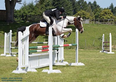 J45: SOLD !!!   Much Admired Schoolmaster Show Jumper / Eventer