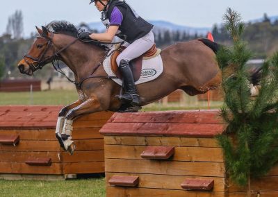 E471: Elite Pony 2* Eventer / Grand Prix SJer