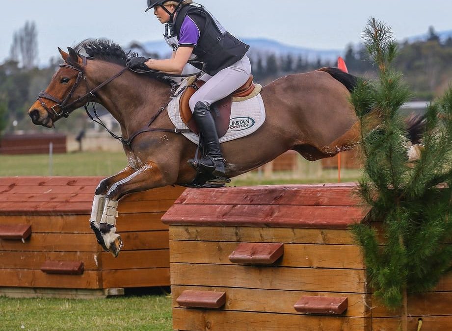 E471: Elite Pony 2* Eventer / Grand Prix SJer
