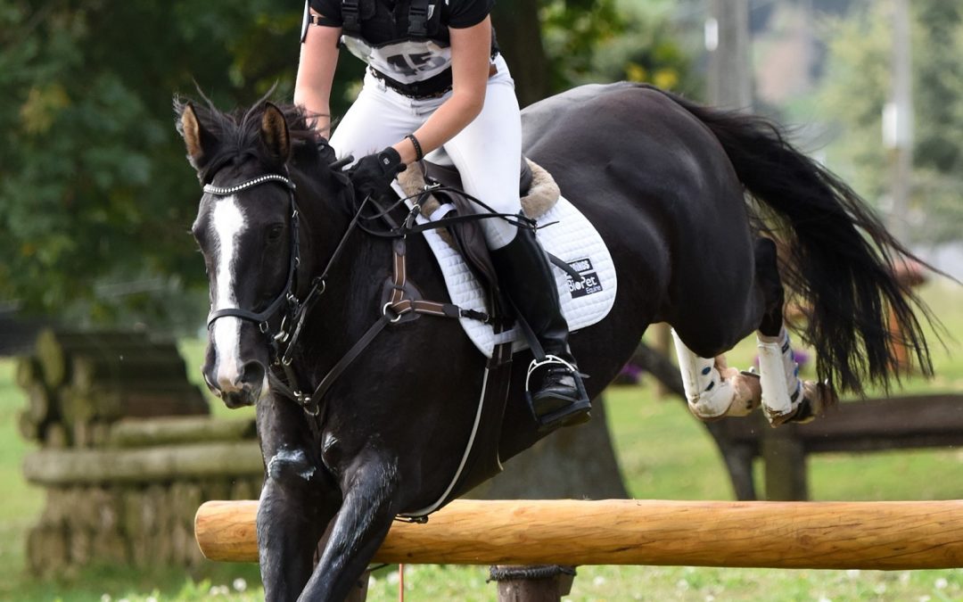 E455: Winning 3* Eventer