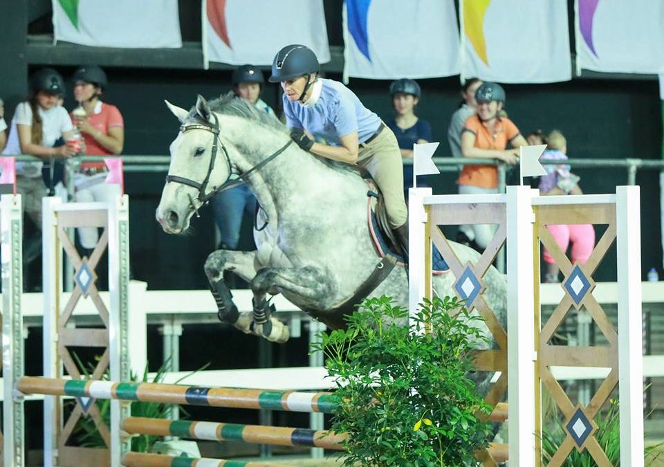 E469: Beautiful and Seriously Talented Mare