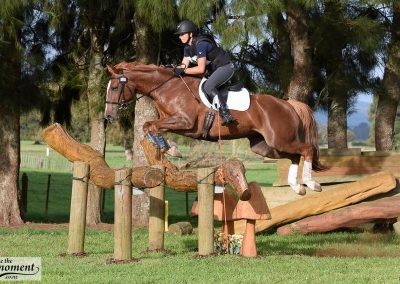 E465: Fancy Experienced Junior / Amateur 2* Mare