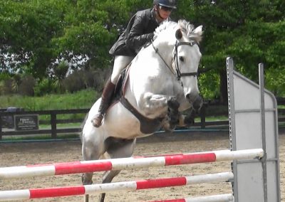 E461: Classy Talented Junior Rider / Amateur Prospect