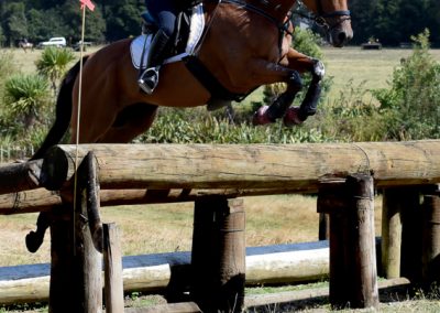 E458: Experienced Safe 3* Schoolmaster Eventer