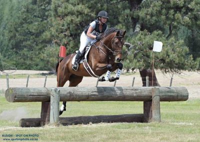 E468: Young TB Eventer Oozing Talent