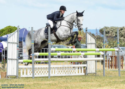 SOLD in NZ !!!          Stunning, talented 2* Eventer