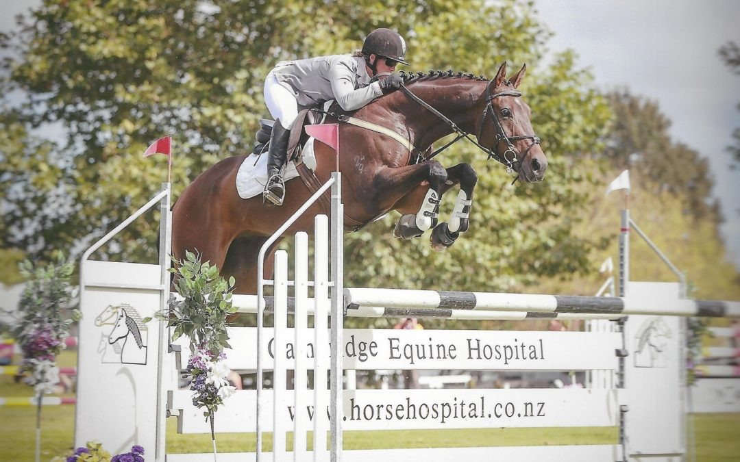 SOLD in NZ !!!  Genuine Safe 3* Eventer