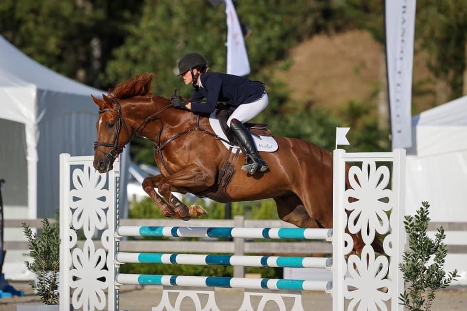 SOLD to AUST !!! : CLASSY 6 yo  1* EVENTER