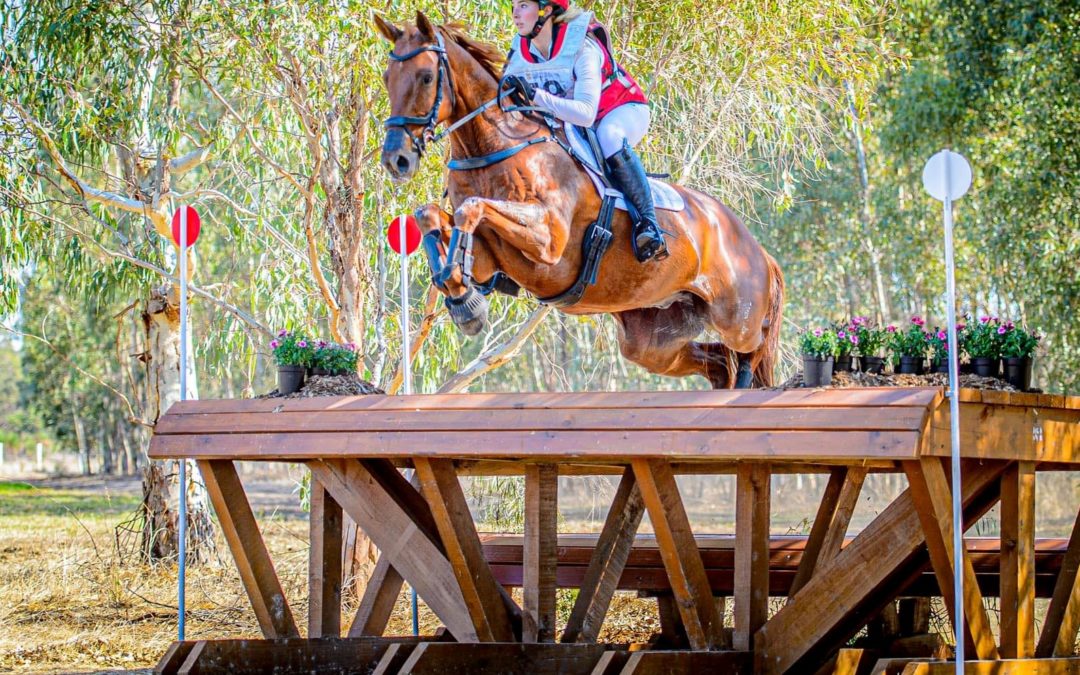 SOLD in AUST !!!  : SUCCESSFUL 3* EVENTER ( AUST )