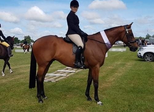 SOLD in NZ !!!  : COMPETITIVE LEVEL 2 SCHOOLMASTER