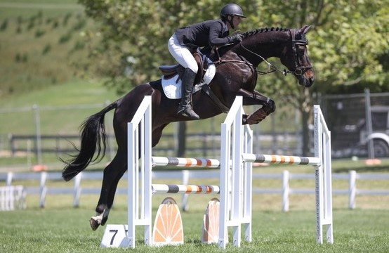 SOLD to WA AUST !!!  : 5 YO TB EVENTER OOZING TALENT
