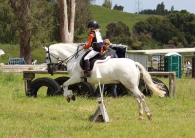 SOLD in NZ !!!    ULTIMATE UNICORN LEARNERS PONY