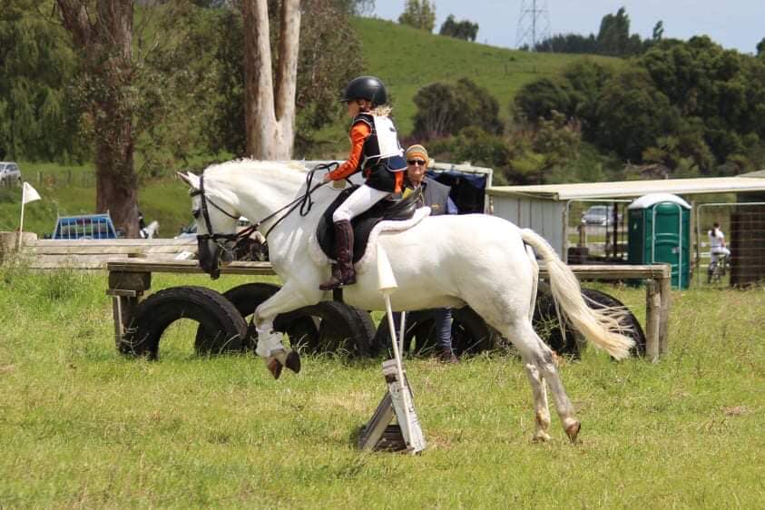 SOLD in NZ !!!    ULTIMATE UNICORN LEARNERS PONY