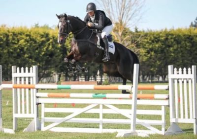 SOLD in NZ !!! :  EXPERIENCED 3* EVENTER