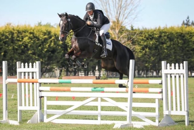 SOLD in NZ !!! :  EXPERIENCED 3* EVENTER