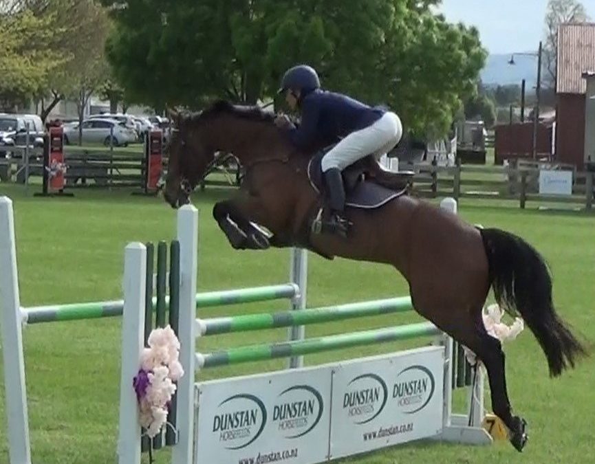 SOLD !!!   Talented Young Rider SJ Mare