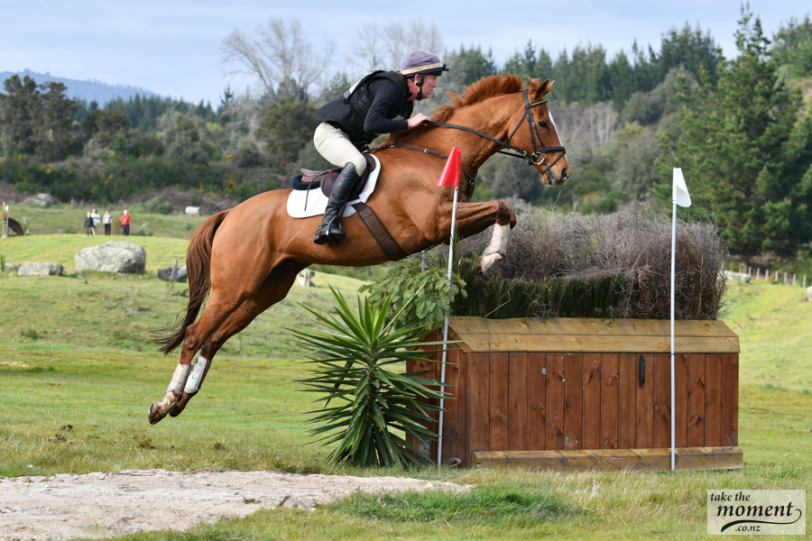 SOLD !!! …. FLASHY MOVING TALENTED 1* EVENTER