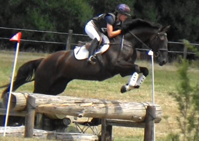 SOLD in NZ !!!  Talented 1* Eventer