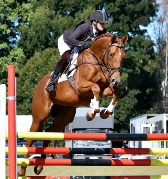 E 517 : QUALITY YOUNG RIDER EVENTING PROSPECT !!!