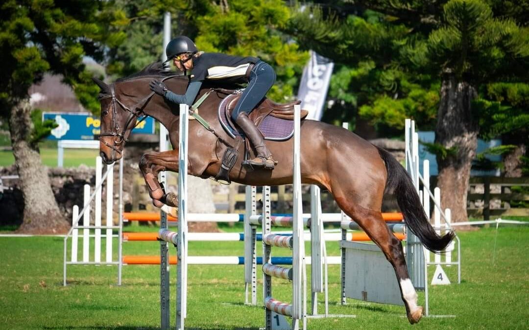 SOLD in NZ !!!    CLASSY TALENTED 6 YO TB EVENTER