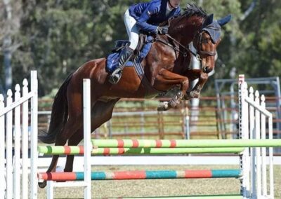 SOLD in AUSTRALIA !!!    TOP YOUNG RIDER SHOW JUMPING PROSPECT