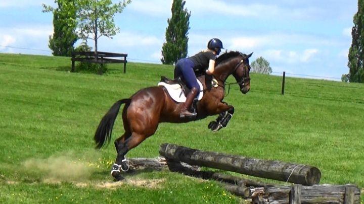 E 520 : ELITE UPPER LEVEL TB EVENTING PROSPECT