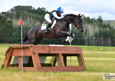 SOLD to AUSTRALIA !!!  TALENTED WINNER 1* EVENTING !!!
