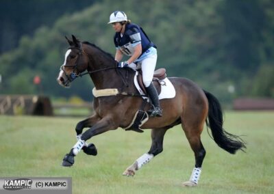 SOLD to AUSTRALIA !!!    FANCY MOVING 2* WINNER