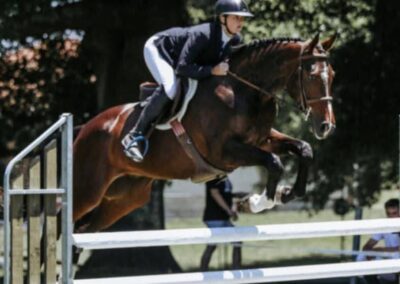 SOLD to AUSTRALIA !!!   HANDSOME TALENTED UPPER LEVEL EVENTING PROSPECT