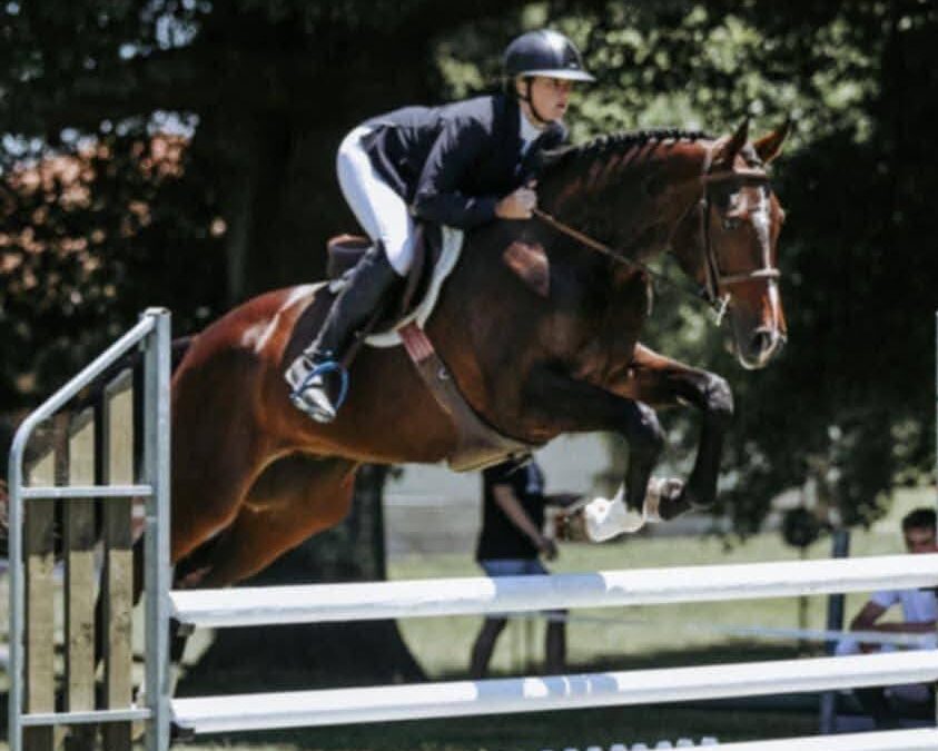SOLD to AUSTRALIA !!!   HANDSOME TALENTED UPPER LEVEL EVENTING PROSPECT