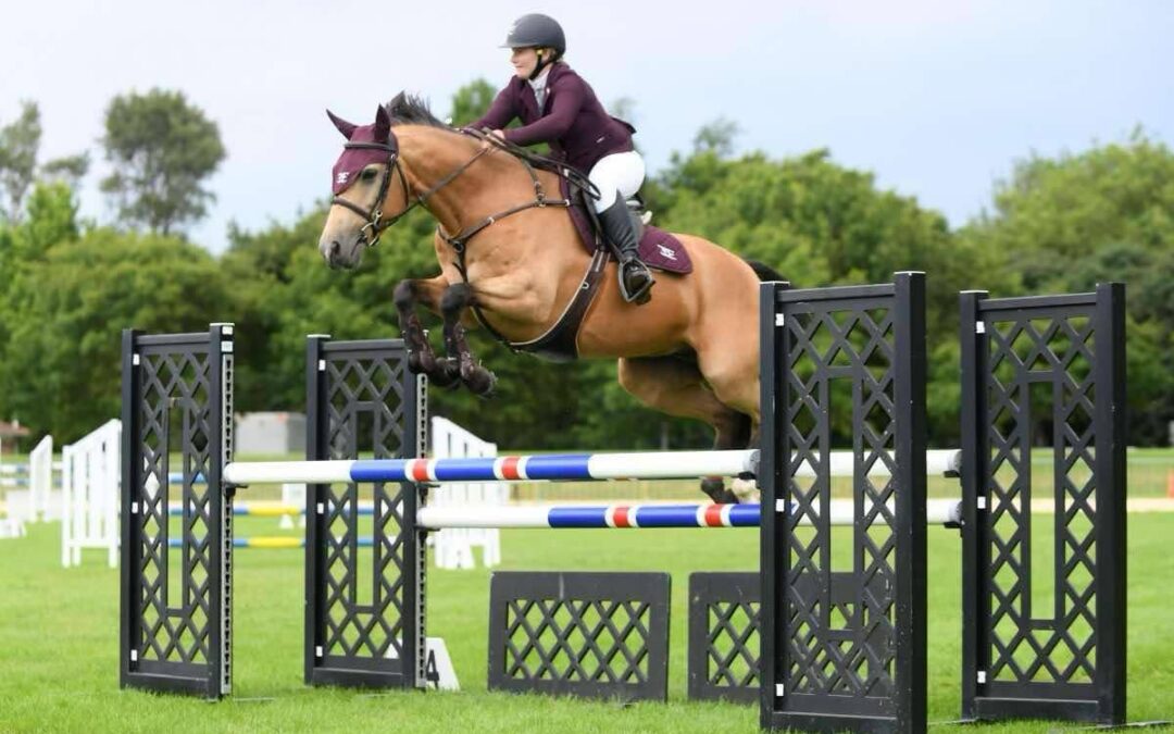 SOLD to AUSTRALIA !!! SUPER STAR JUNIOR SJ / EVENTER !!!