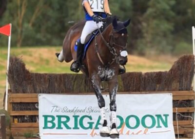 E 524 :  MANY WINS / PLACINGS 2* EVENTING ( WA, AUSTRALIA) !!!