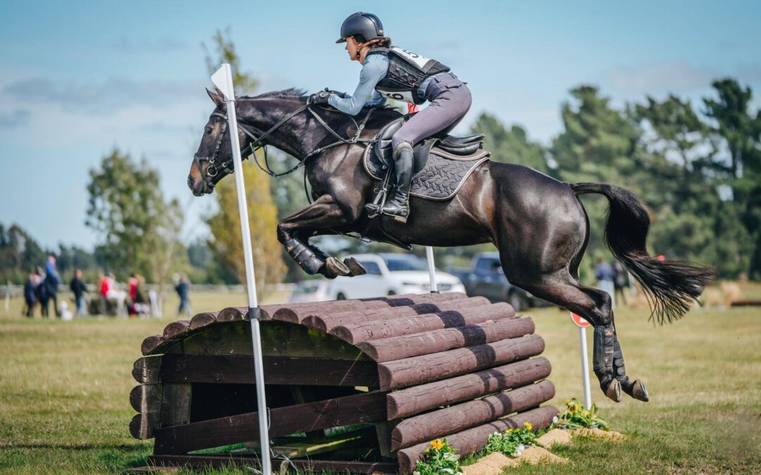 SOLD !!!     SUPER SAFE GENUINE 1* WINNER EVENTING