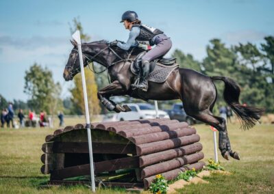 SOLD !!!     SUPER SAFE GENUINE 1* WINNER EVENTING