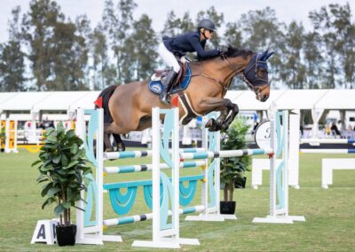SOLD to NZ !!! OUTSTANDING TALENTED 6 YO SHOW JUMPER ( AUST )