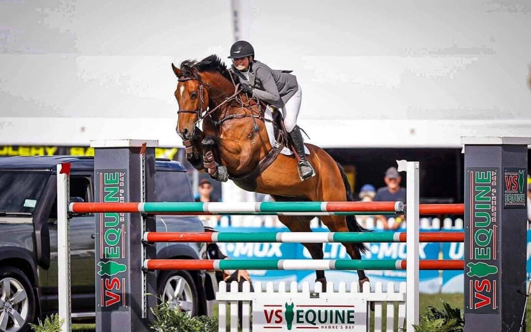 SOLD to AUSTRALIA !!!   NZ CHAMPION YOUNG RIDER SHOW JUMPER WINNER