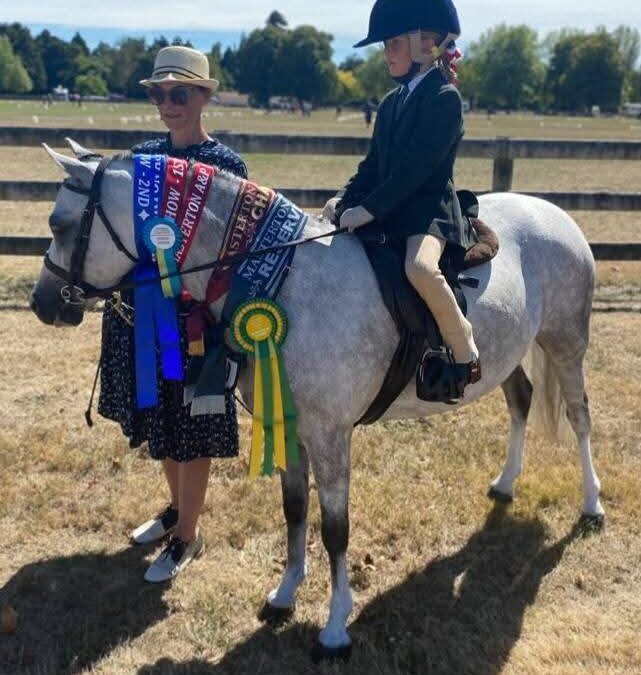 Beautiful ‘Welsh’ Child’s Pony – Ridden or Lead Rein !!!