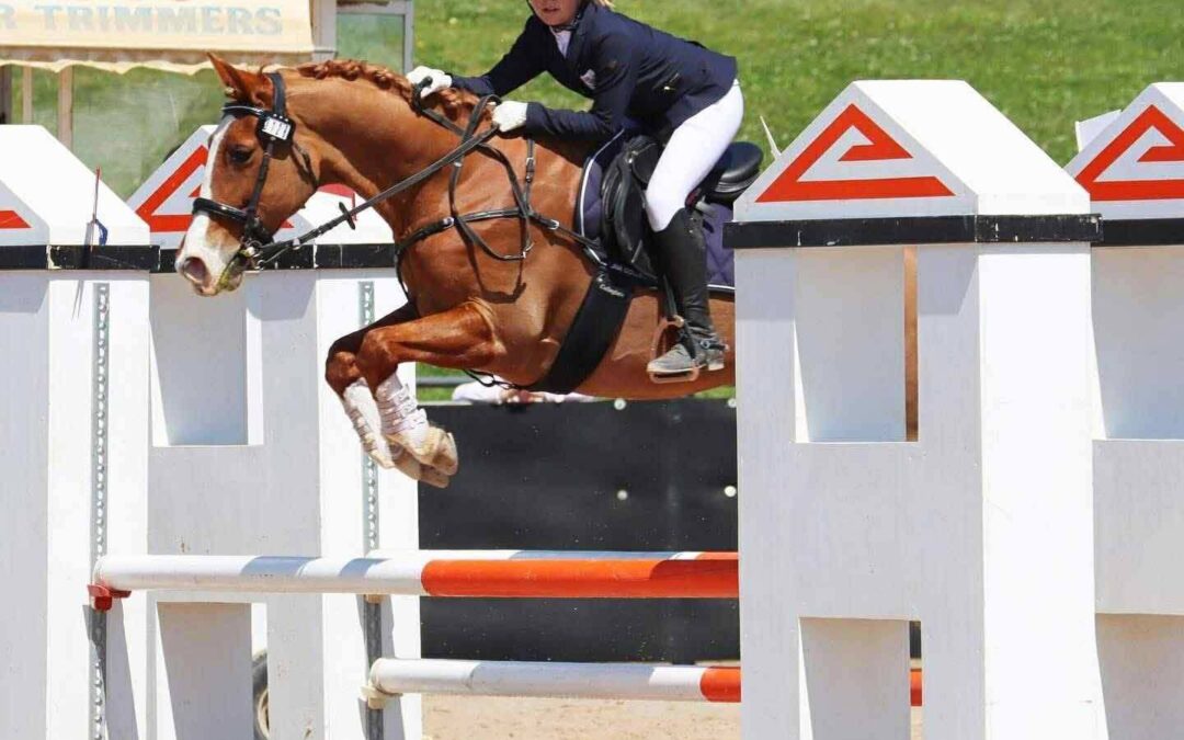 CHAMPION CHILD’S SHOW JUMPING / EVENTING PONY ( VIC, AUST ) !!!