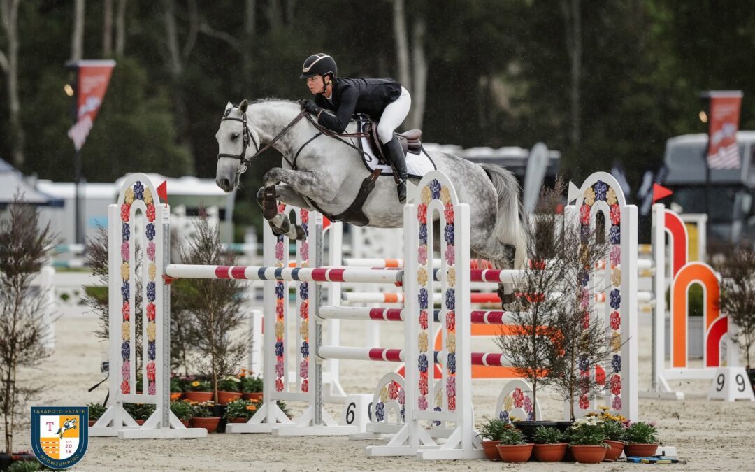 SOLD to AUSTRALIA !!!  OUTSTANDING YOUNG 7 yo  MARE WINS AT 1.35M