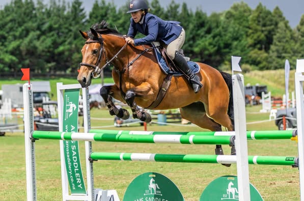 SOLD to AUSTRALIA !!!  Top Junior’s  Show Jumping Prospect