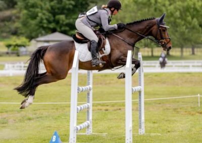 E 525 : TALENTED 1* EVENTER / JUNIOR SHOW JUMPER !!!