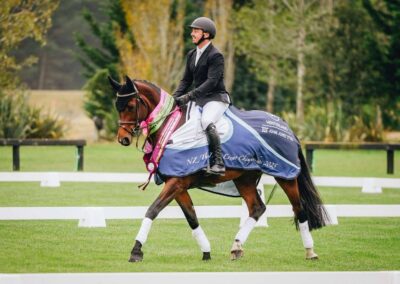 SOLD to AUSTRALIA !!!      NZ NATIONAL YOUNG EVENT HORSE CHAMPION 2025