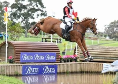 EXPERIENCED 2* EVENTING SCHOOLMASTER !!!  ( VIC, AUST )