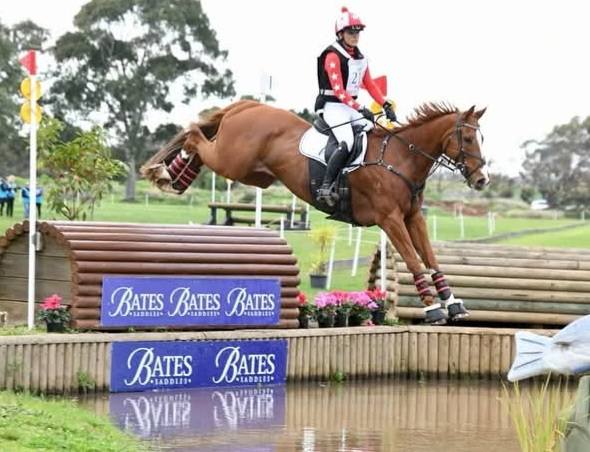 EXPERIENCED 2* EVENTING SCHOOLMASTER !!!  ( VIC, AUST )