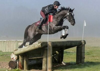 SOLD to CHINA !!!    SCHOOLMASTER  2* EVENTER