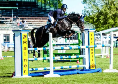 SOLD !!!    CLASSY JUNIOR / YOUNG RIDER SHOW JUMPER