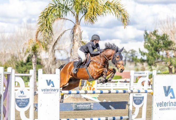 MULTIPLE WINS 1.35M JNR/ YR SHOW JUMMPER !!!