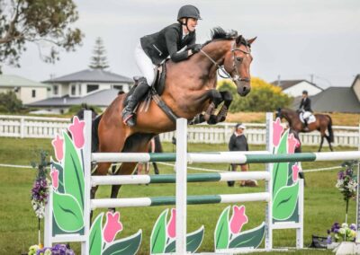 SOLD to CHINA !!!   1.30M  SHOW JUMPING / 2* EVENTER
