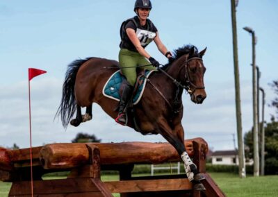 SOLD to CHINA !!!    WELL PERFORMED 2* EVENTER / 1.30M SHOW JUMPER