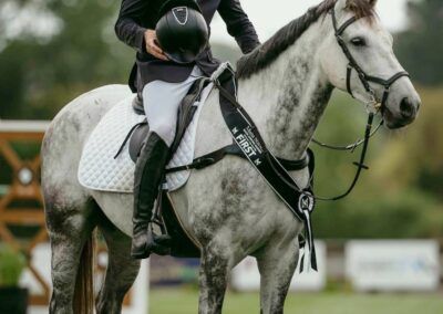 SOLD to CHINA !!!  MULTIPLE SJ  WINS 1.20M / 1* EVENTER